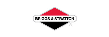 logo Briggs